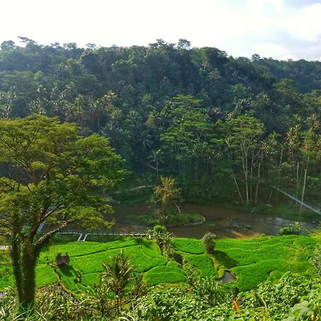 Puri Bunga Resort Ubud Exteriér fotografie