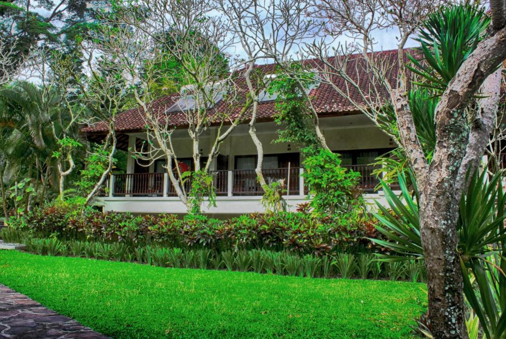 Puri Bunga Resort Ubud Pokoj fotografie