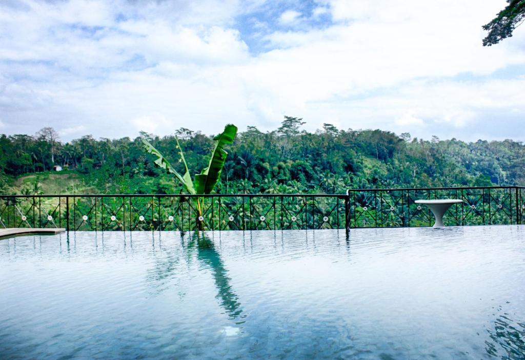 Puri Bunga Resort Ubud Pokoj fotografie