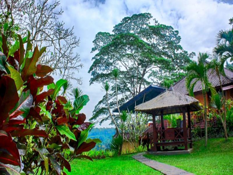 Puri Bunga Resort Ubud Exteriér fotografie