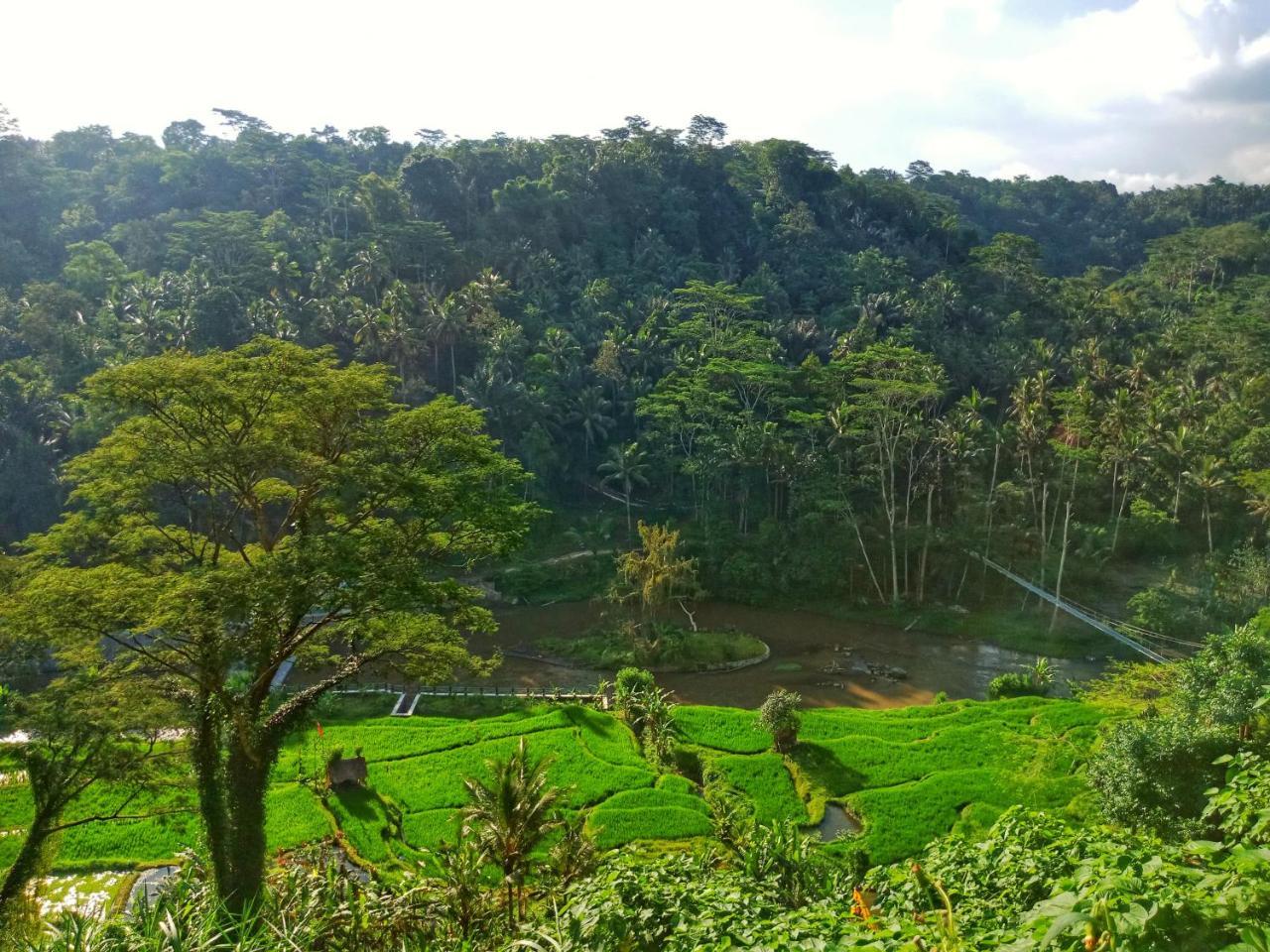 Puri Bunga Resort Ubud Exteriér fotografie